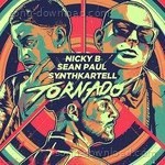 Nicky B Songs MP3 Download